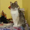 Отзыв от Роза Новикова